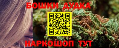 PSILOCYBIN Бугуруслан