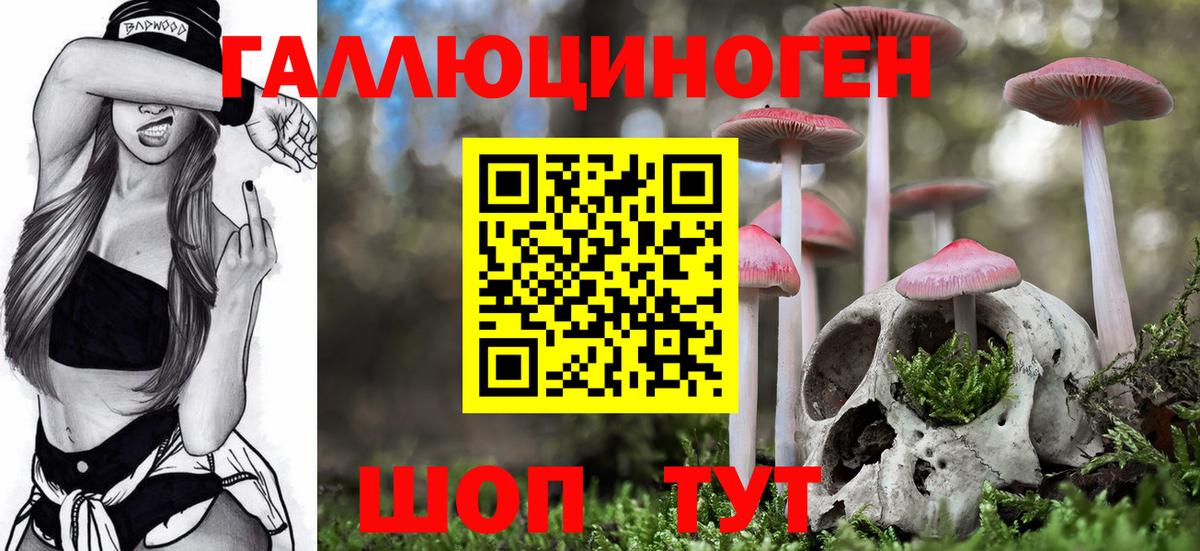 Галлюциногенные грибы Psilocybine cubensis  Вход с VPN  Рузаевка 